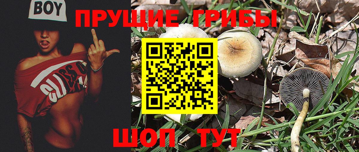 Псилоцибиновые грибы мицелий Шарыпово