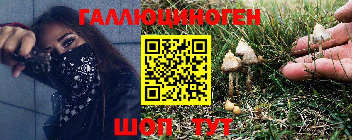 Галлюциногенные грибы Magic Shrooms  Галлюциногенные грибы MAGIC MUSHROOMS  дарнет шоп  Вход с VPN  Шарыпово 